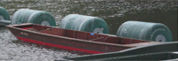 Dinghy